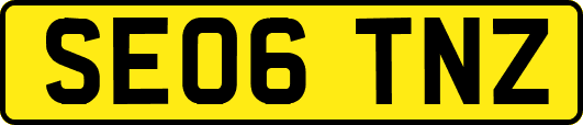 SE06TNZ