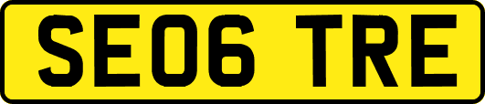 SE06TRE