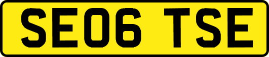 SE06TSE