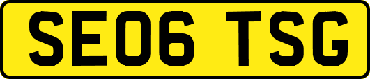 SE06TSG