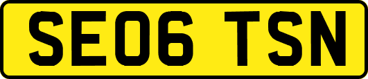 SE06TSN