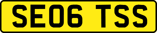 SE06TSS
