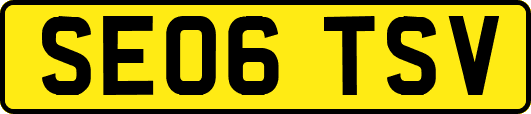 SE06TSV