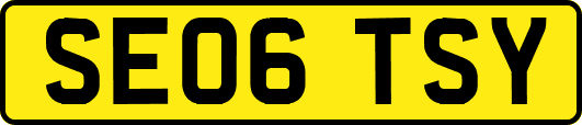 SE06TSY