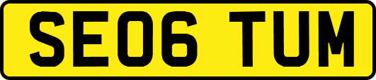 SE06TUM