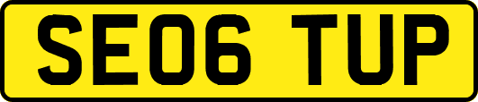 SE06TUP
