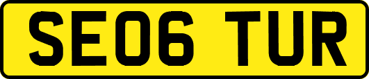 SE06TUR