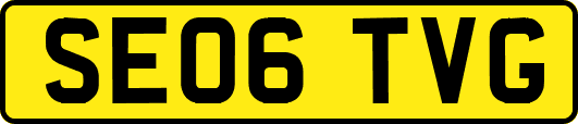 SE06TVG