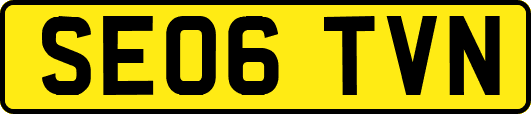 SE06TVN