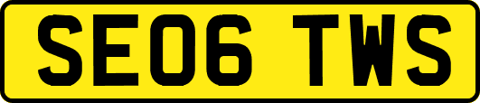 SE06TWS