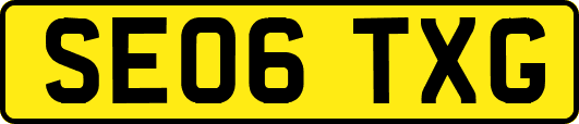 SE06TXG