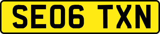 SE06TXN