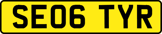 SE06TYR
