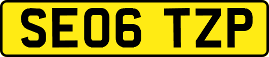 SE06TZP