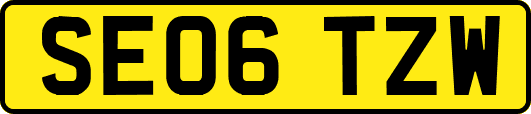 SE06TZW