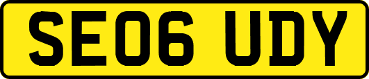 SE06UDY