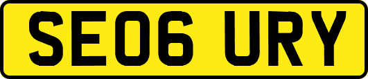 SE06URY