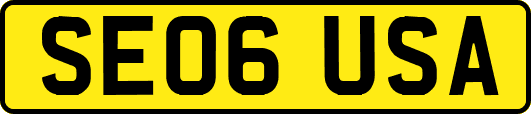 SE06USA