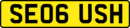 SE06USH