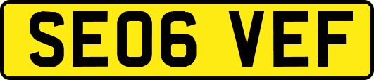 SE06VEF