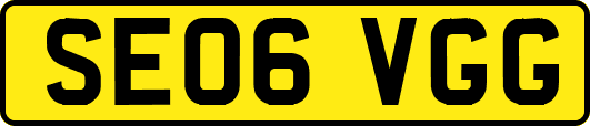 SE06VGG