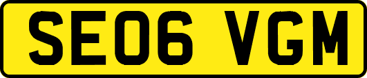 SE06VGM