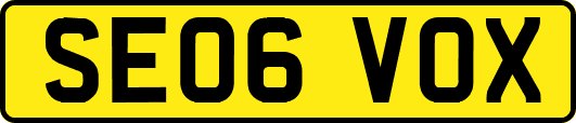 SE06VOX