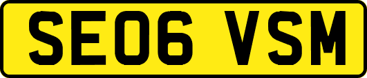 SE06VSM