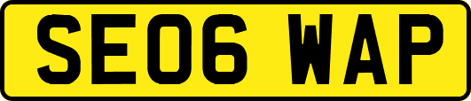 SE06WAP