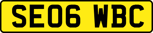 SE06WBC