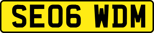 SE06WDM