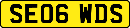 SE06WDS