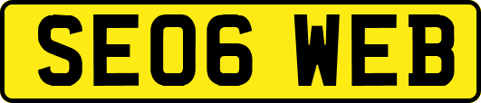 SE06WEB