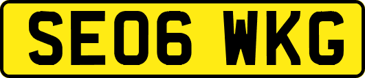 SE06WKG