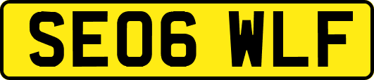 SE06WLF