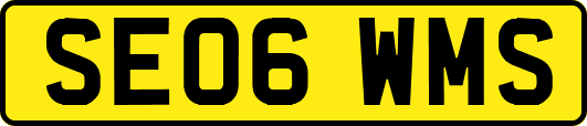 SE06WMS