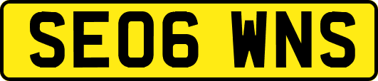 SE06WNS