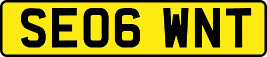 SE06WNT