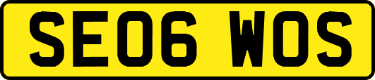 SE06WOS