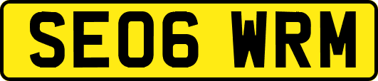 SE06WRM