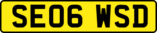 SE06WSD