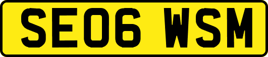 SE06WSM