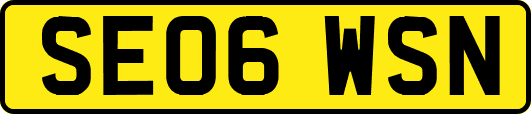 SE06WSN