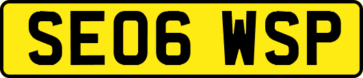 SE06WSP