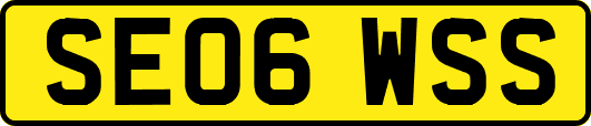 SE06WSS