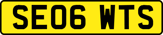 SE06WTS