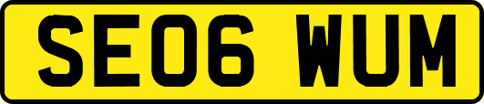 SE06WUM