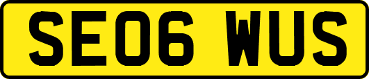 SE06WUS