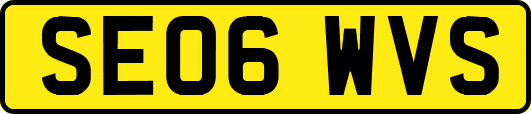 SE06WVS