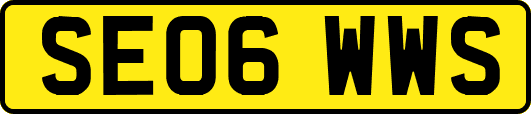 SE06WWS